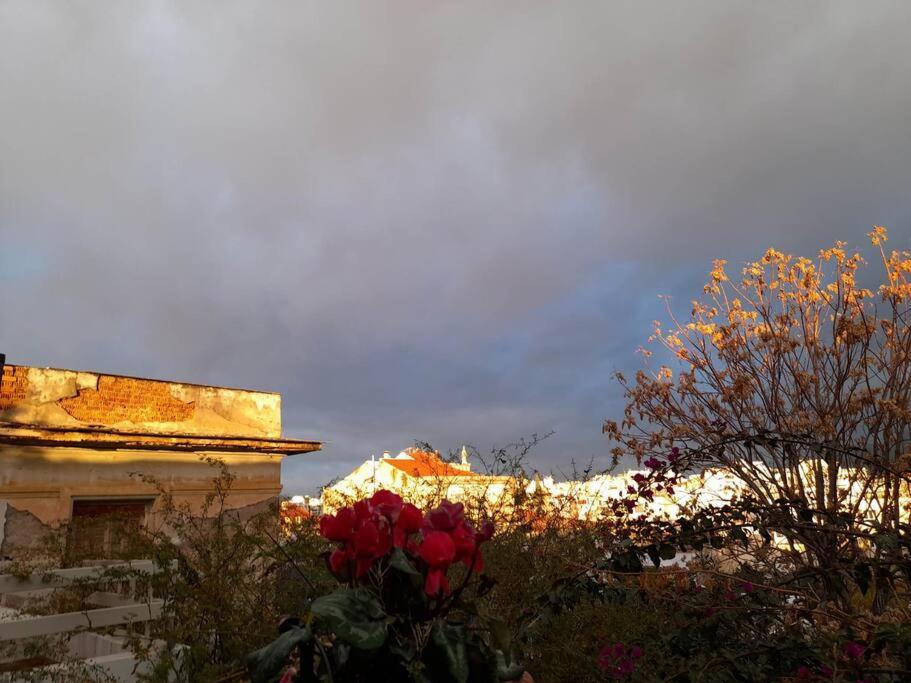 At The Foot Of Acropolis. Villa Athens Luaran gambar