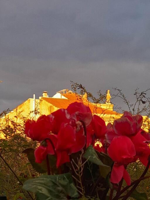 At The Foot Of Acropolis. Villa Athens Luaran gambar
